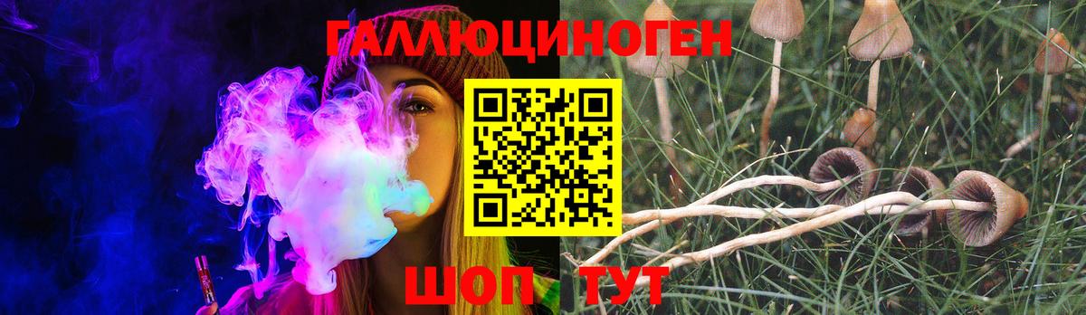 Псилоцибиновые грибы Psilocybe  Вход с VPN  Артёмовский 