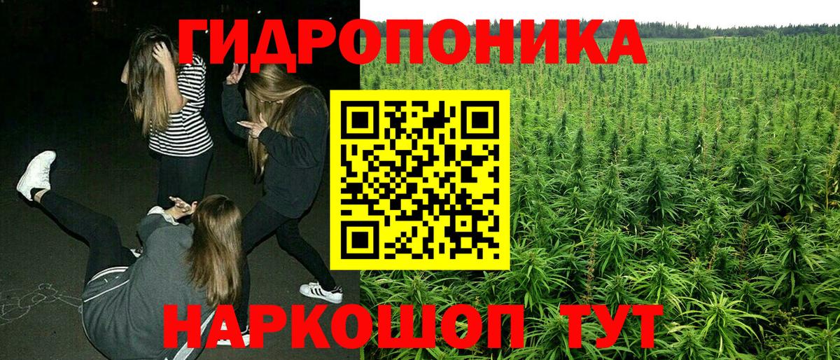 Артёмовский  Бошки Шишки гибрид  Вход с VPN  МАРИХУАНА White Widow  Каннабис сатива  Каннабис AK-47 